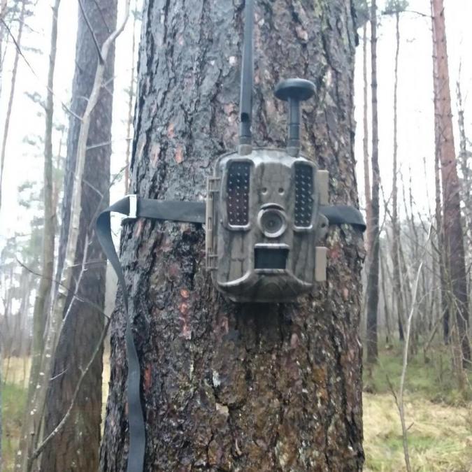 Фотоловушка